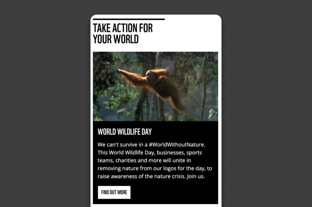 WWF accessible and easy-to-navigate layout