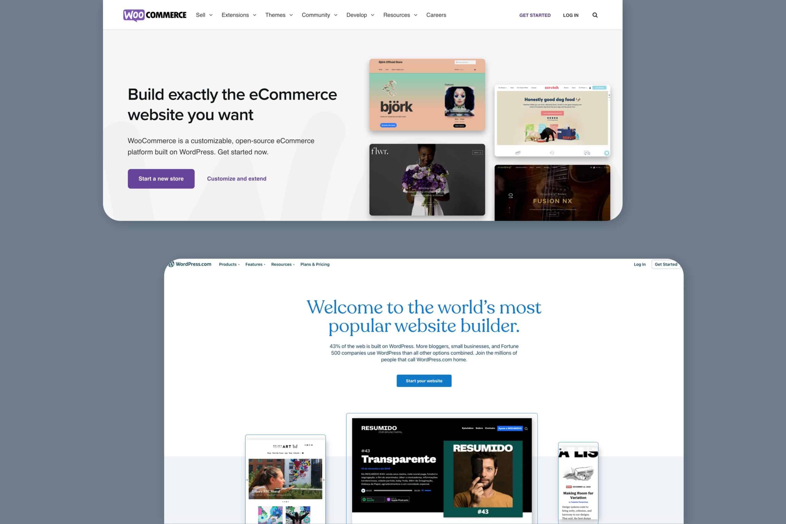What platform should your ecommerce site be built upon?